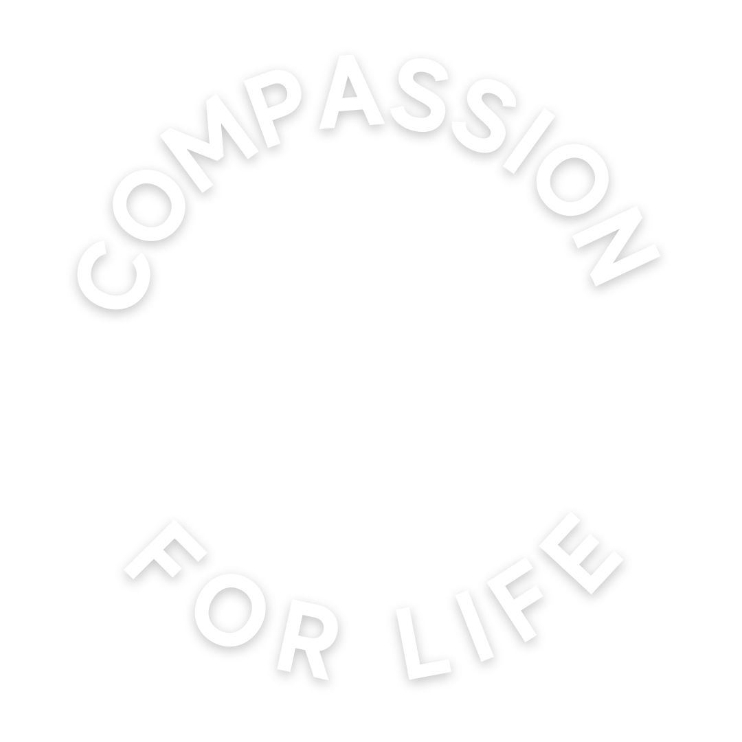 CFL Logo Transparent White